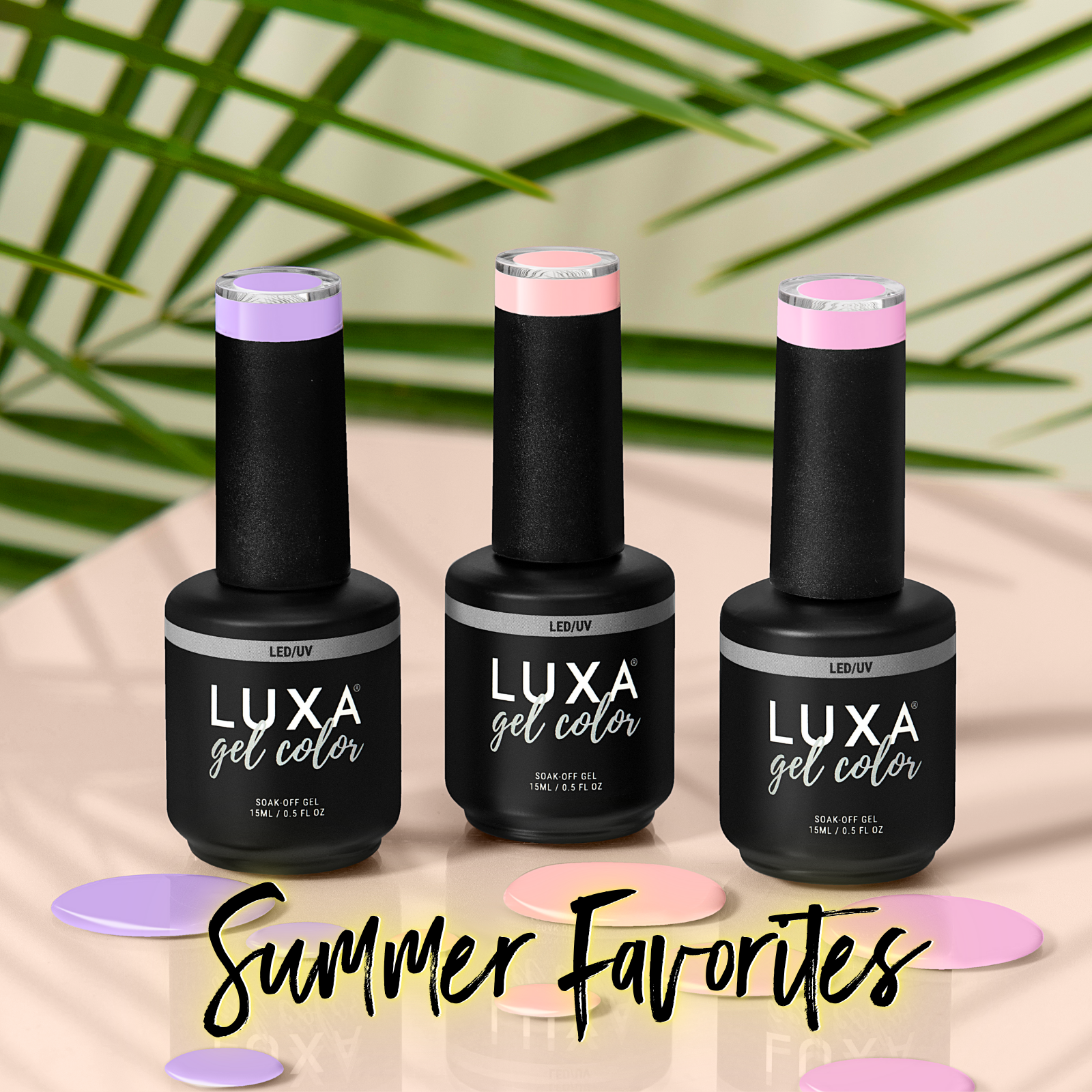 Summer Favorites