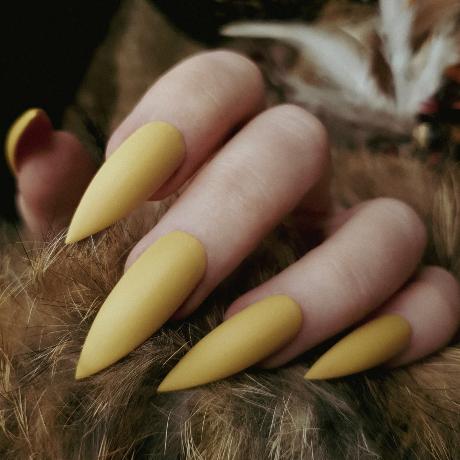 LUXA Gel Color - Wild and Free