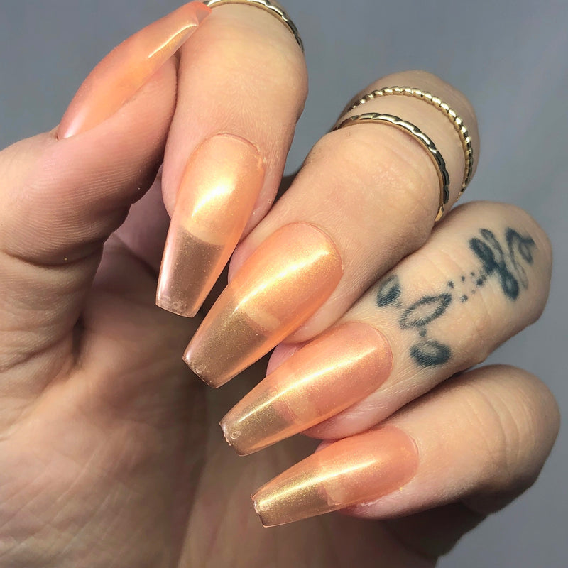Santa Monica Bundle