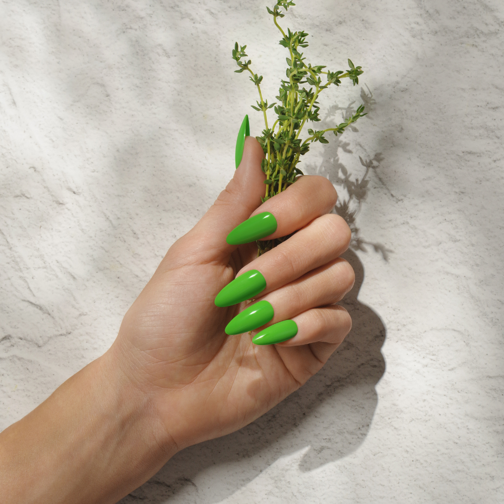 THYME IS MONEY