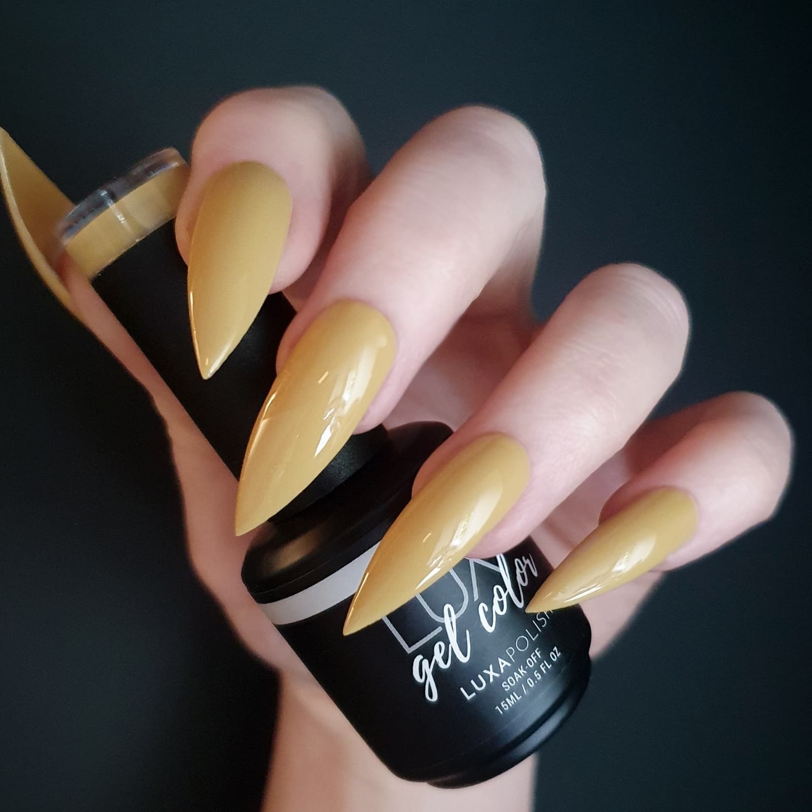 LUXA Gel Color - Wild and Free